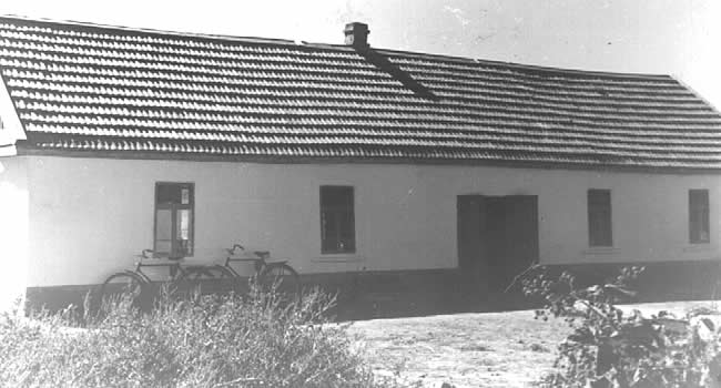 школа в 1950 году